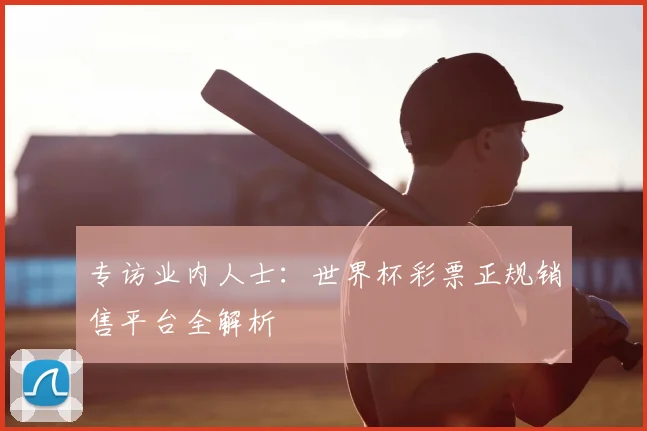 专访业内人士：世界杯彩票正规销售平台全解析
