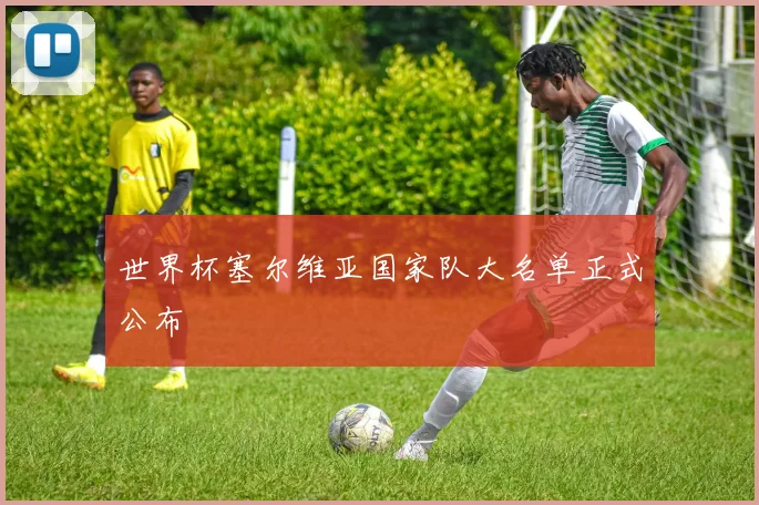 世界杯塞尔维亚国家队大名单正式公布