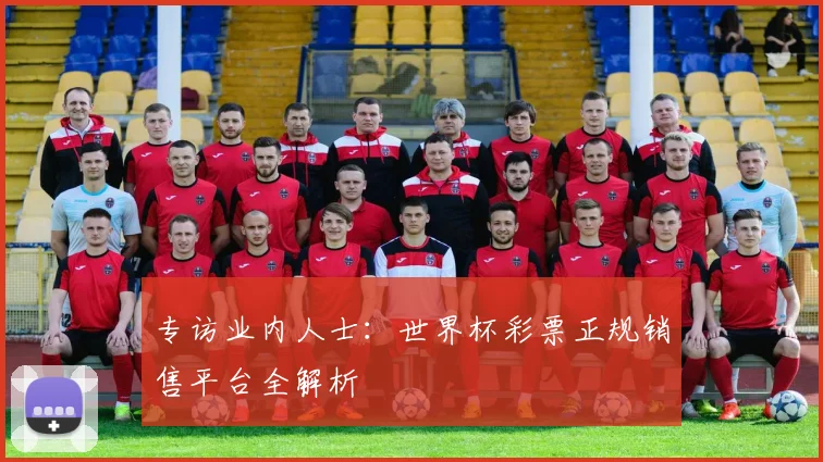 专访业内人士：世界杯彩票正规销售平台全解析