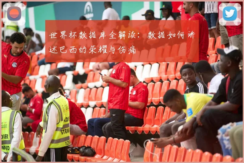 世界杯数据库全解读:数据如何讲述巴西的荣耀与伤痛