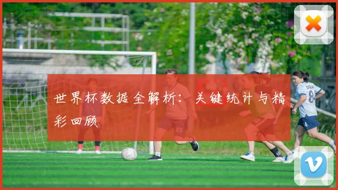 世界杯数据全解析:关键统计与精彩回顾