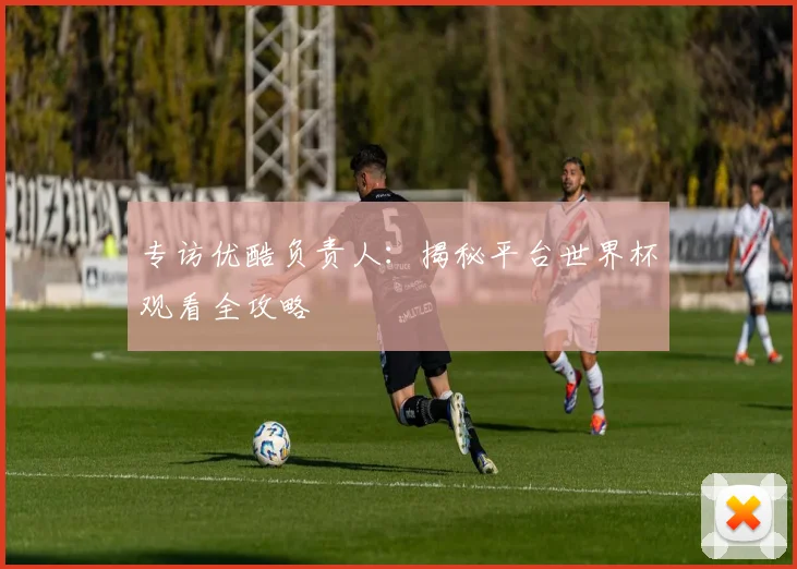 专访优酷负责人:揭秘平台世界杯观看全攻略