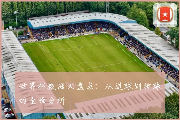 世界杯数据大盘点:从进球到控球的全面分析